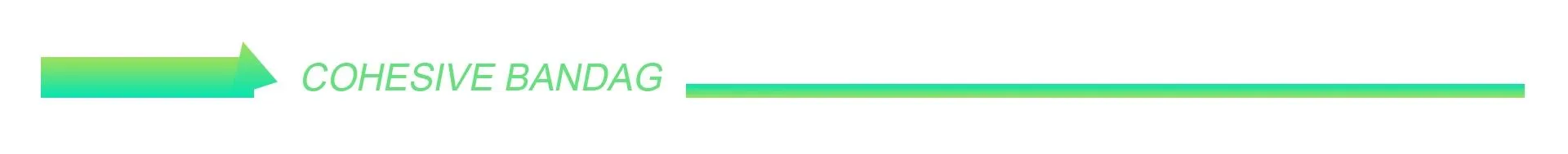 COHESIVE BANDAG